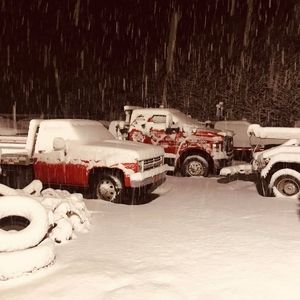 Meet your Posher, Harry